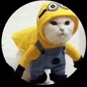 Meet your Posher, Bryanna